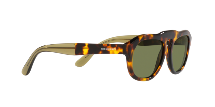 Giorgio Armani Sunglasses AR8173 50922A