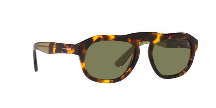 Giorgio Armani Sunglasses AR8173 50922A