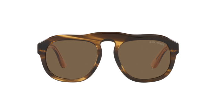 Giorgio Armani Sunglasses AR8173 595873