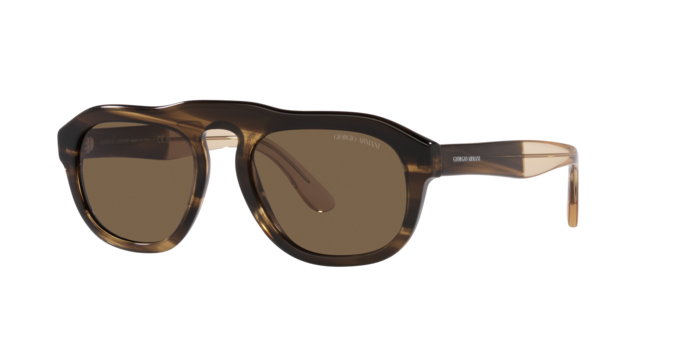 Giorgio Armani Sunglasses AR8173 595873