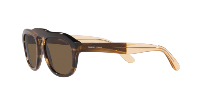 Giorgio Armani Sunglasses AR8173 595873