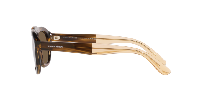 Giorgio Armani Sunglasses AR8173 595873