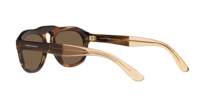 Giorgio Armani Sunglasses AR8173 595873