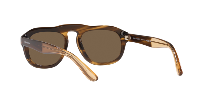 Giorgio Armani Sunglasses AR8173 595873