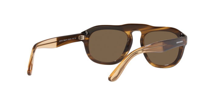 Giorgio Armani Sunglasses AR8173 595873