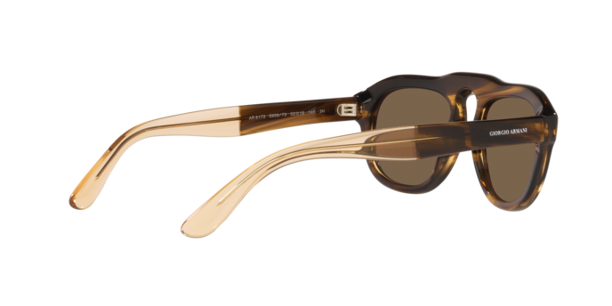 Giorgio Armani Sunglasses AR8173 595873