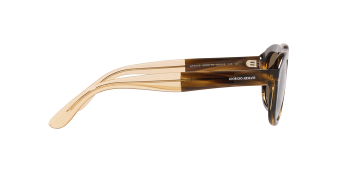 Giorgio Armani Sunglasses AR8173 595873