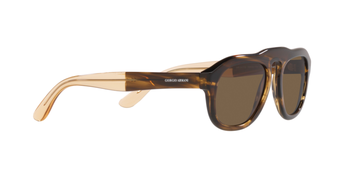 Giorgio Armani Sunglasses AR8173 595873