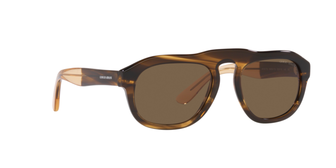 Giorgio Armani Sunglasses AR8173 595873