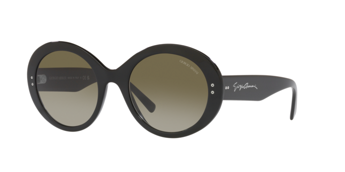 Giorgio Armani Sunglasses AR8174 50018E