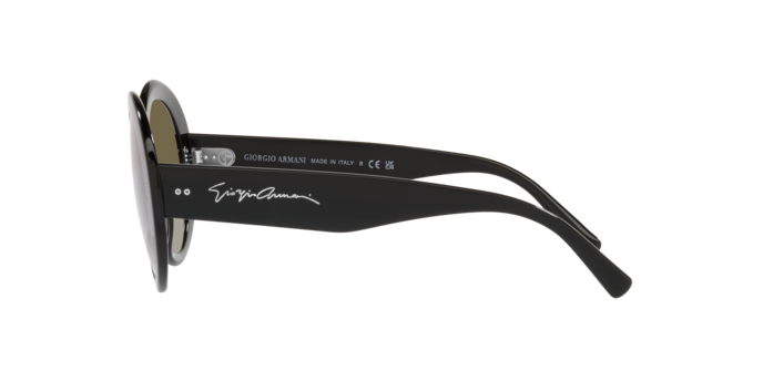 Giorgio Armani Sunglasses AR8174 50018E