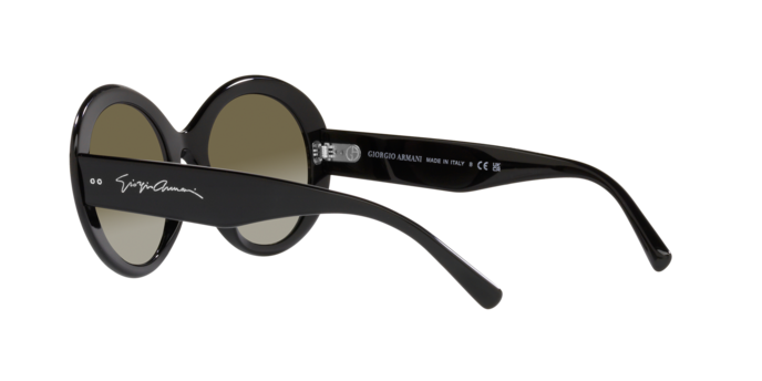 Giorgio Armani Sunglasses AR8174 50018E