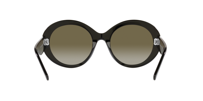 Giorgio Armani Sunglasses AR8174 50018E