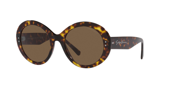 Giorgio Armani Sunglasses AR8174 502673