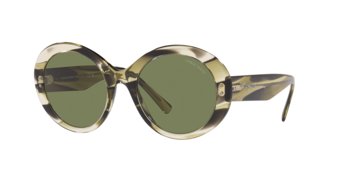 Giorgio Armani Sunglasses AR8174 59522A