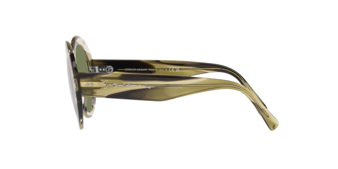 Giorgio Armani Sunglasses AR8174 59522A