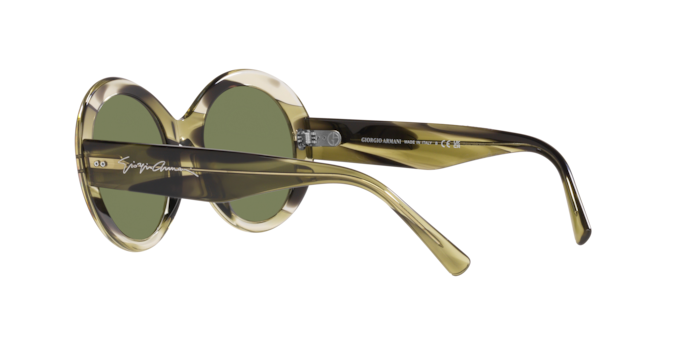 Giorgio Armani Sunglasses AR8174 59522A