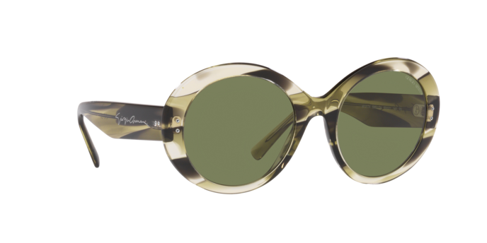 Giorgio Armani Sunglasses AR8174 59522A