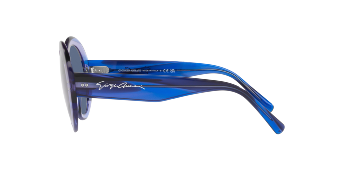 Giorgio Armani Sunglasses AR8174 595380