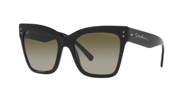 Giorgio Armani Sunglasses AR8175 50018E