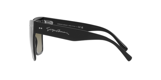 Giorgio Armani Sunglasses AR8175 50018E