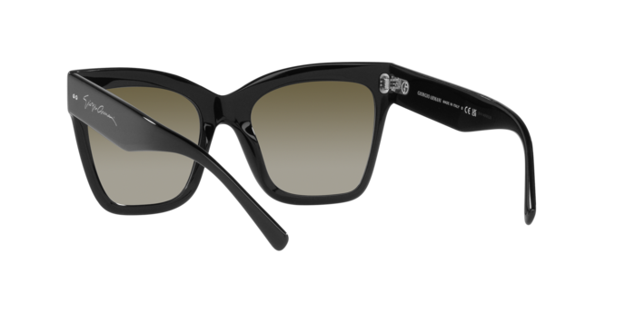 Giorgio Armani Sunglasses AR8175 50018E
