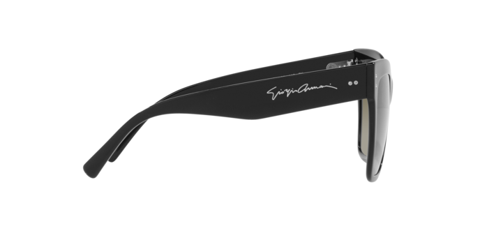 Giorgio Armani Sunglasses AR8175 50018E