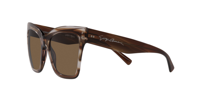Giorgio Armani Sunglasses AR8175 595473