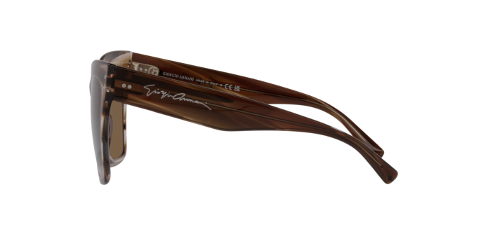 Giorgio Armani Sunglasses AR8175 595473