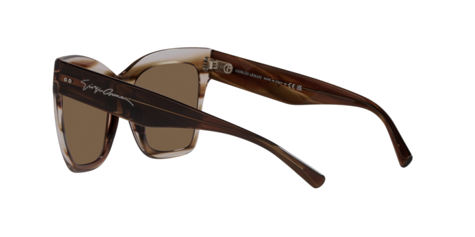 Giorgio Armani Sunglasses AR8175 595473