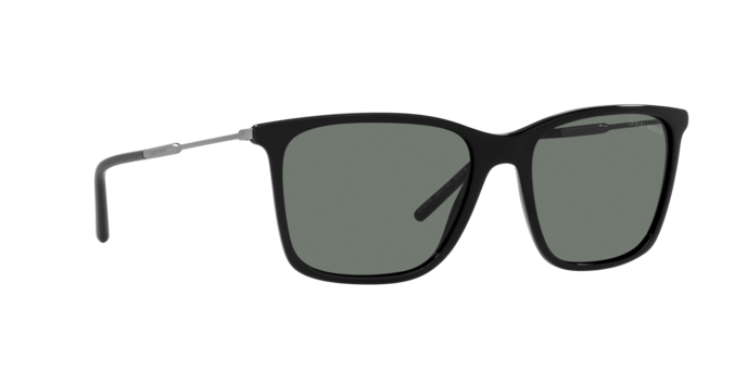 Giorgio Armani Sunglasses AR8176 501787