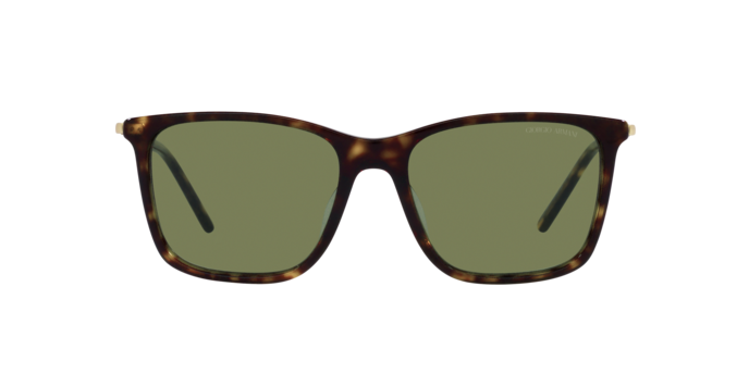 Giorgio Armani Sunglasses AR8176 50262A