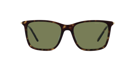 Giorgio Armani Sunglasses AR8176 50262A