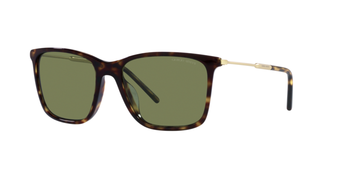 Giorgio Armani Sunglasses AR8176 50262A