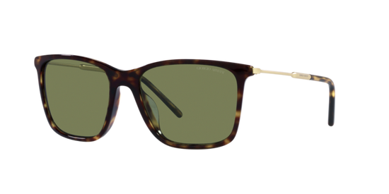 Giorgio Armani Sunglasses AR8176 50262A