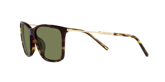 Giorgio Armani Sunglasses AR8176 50262A