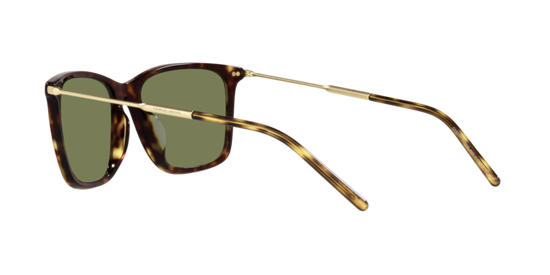 Giorgio Armani Sunglasses AR8176 50262A