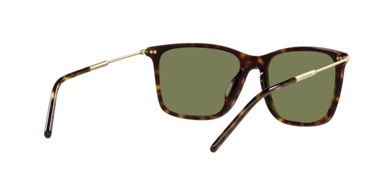 Giorgio Armani Sunglasses AR8176 50262A