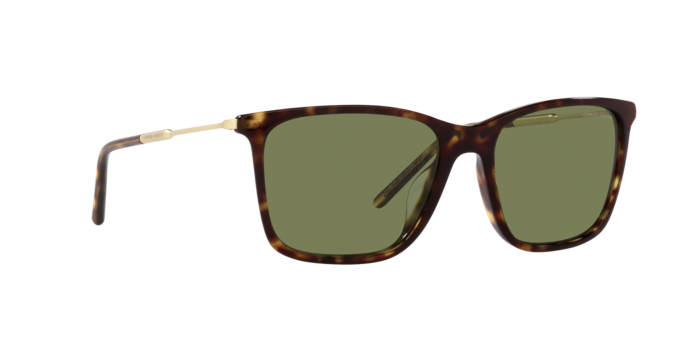 Giorgio Armani Sunglasses AR8176 50262A