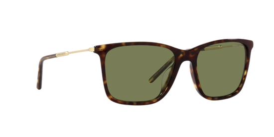 Giorgio Armani Sunglasses AR8176 50262A