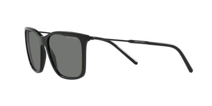 Giorgio Armani Sunglasses AR8176 504211