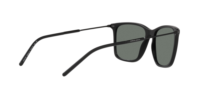 Giorgio Armani Sunglasses AR8176 504211