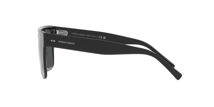 Giorgio Armani Sunglasses AR8177 500187