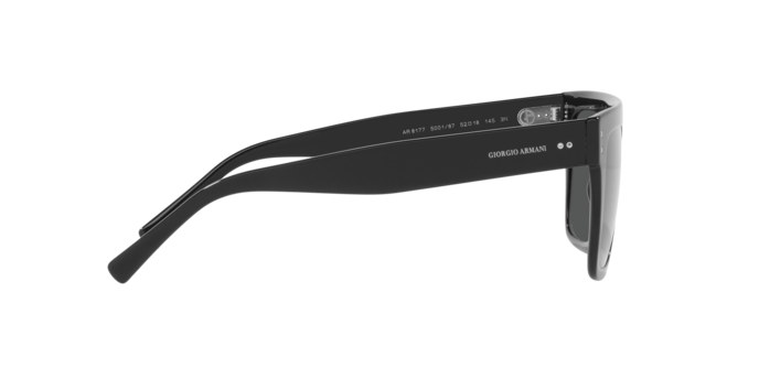 Giorgio Armani Sunglasses AR8177 500187