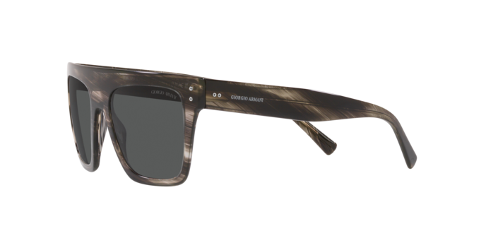 Giorgio Armani Sunglasses AR8177 540787