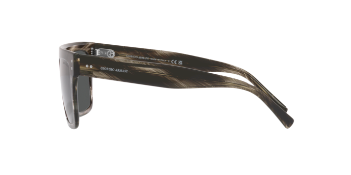 Giorgio Armani Sunglasses AR8177 540787