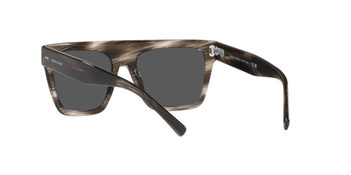 Giorgio Armani Sunglasses AR8177 540787