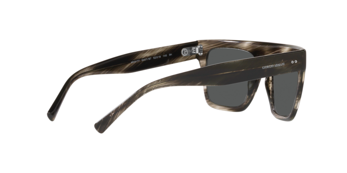 Giorgio Armani Sunglasses AR8177 540787