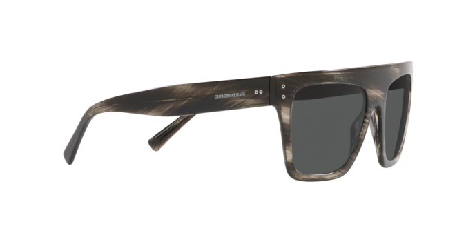 Giorgio Armani Sunglasses AR8177 540787