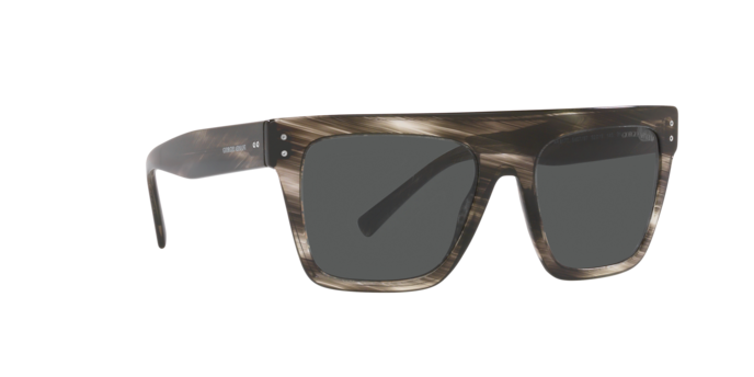 Giorgio Armani Sunglasses AR8177 540787